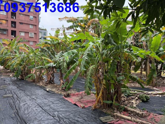 礁溪建地-3