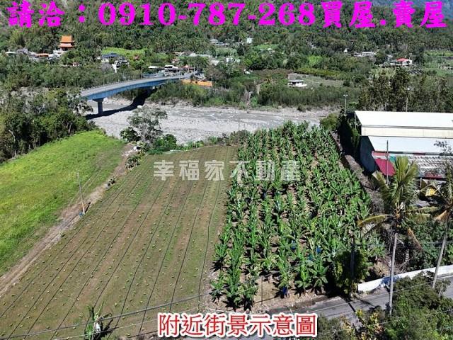 甲仙農地-1