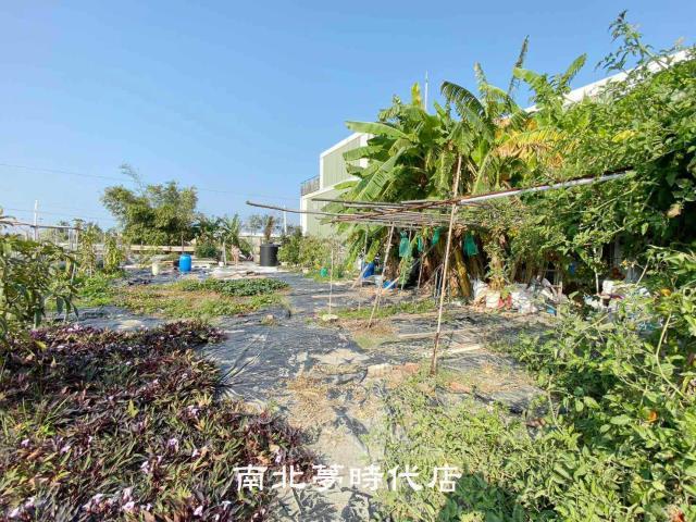 台南南區農地-3