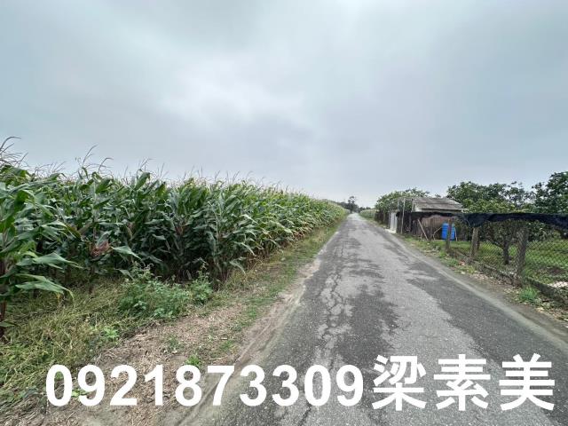 麻豆農地-4