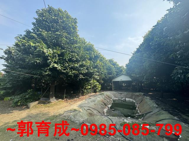 雲林農地-13
