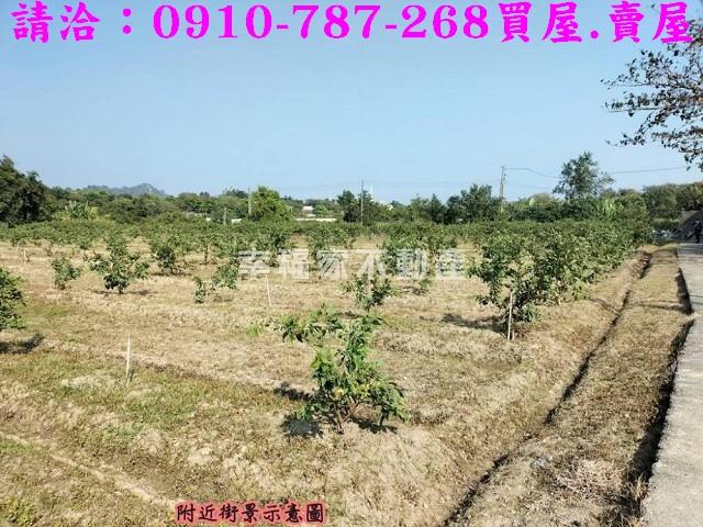 燕巢農地-12