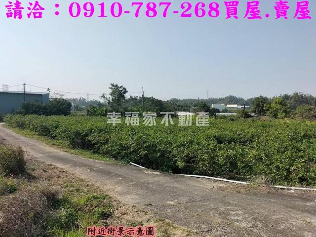 燕巢農地-13