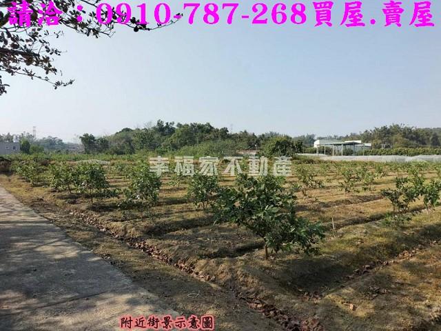 燕巢農地-14
