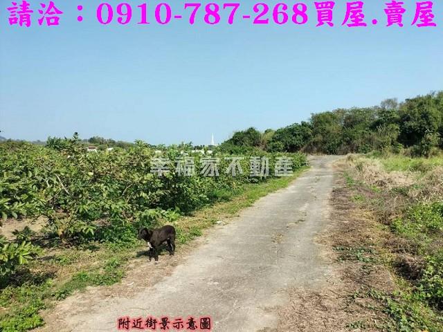 燕巢農地-3