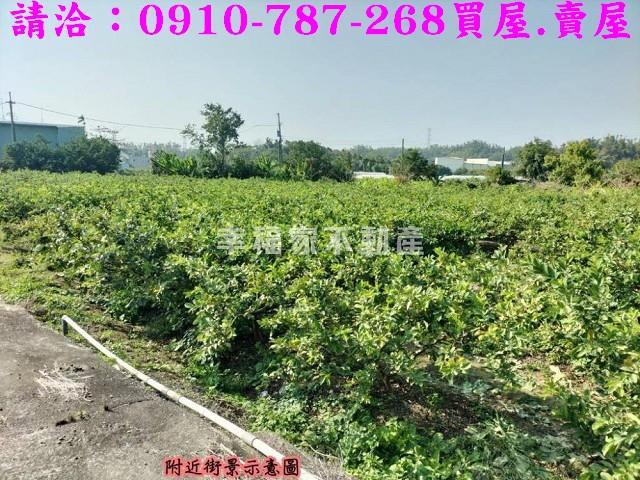 燕巢農地-4