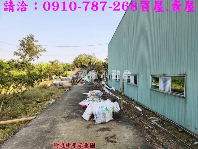燕巢農地-5