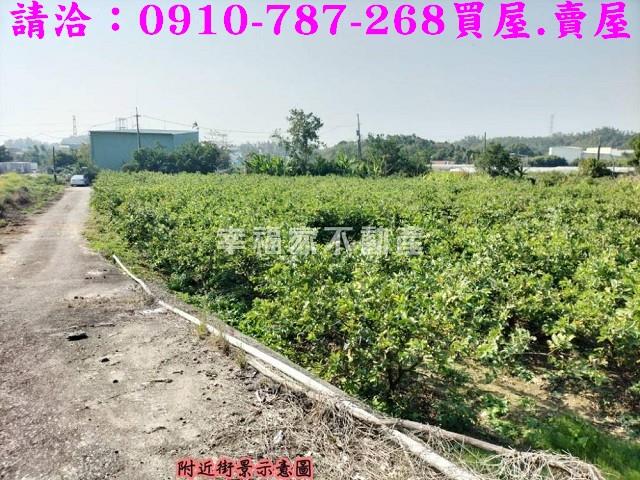 燕巢農地-6