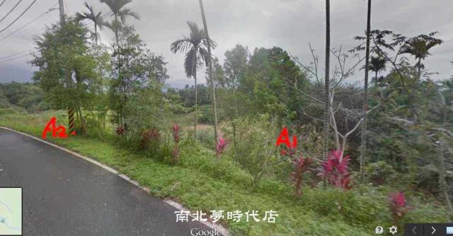 花蓮壽豐農地-1