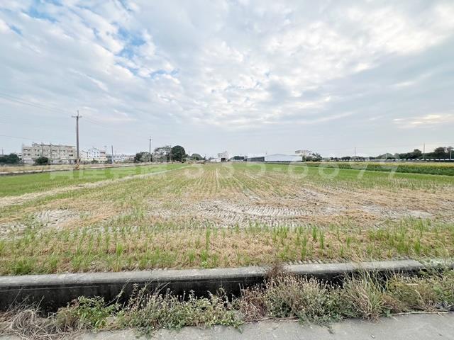 新營農地-1
