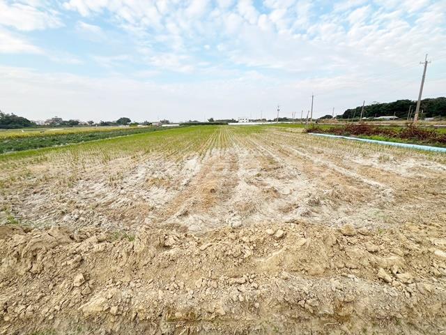 新營農地-2