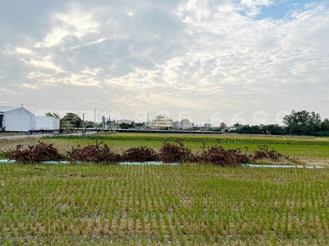 新營農地-4
