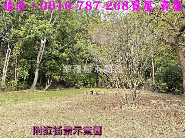 左鎮農地-12