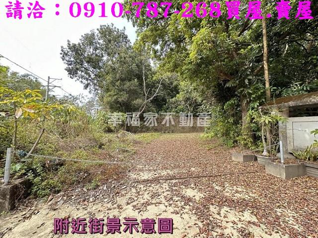 左鎮農地-13