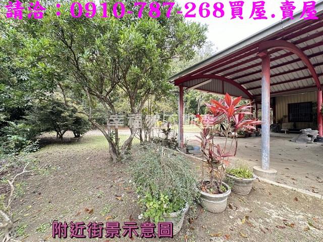左鎮農地-6