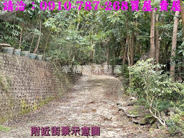 左鎮農地-7