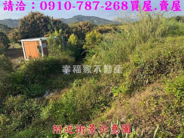 台南農地-10