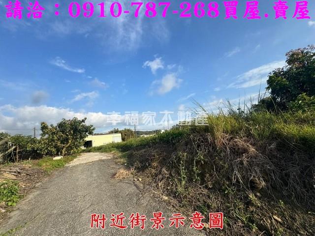 台南農地-13