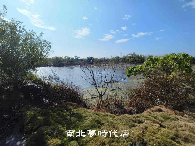 台南農地-4
