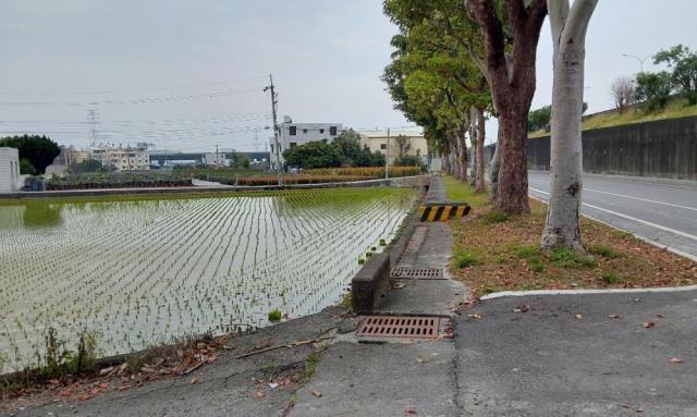 台中霧峰農地-2