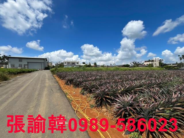 南投市農地-10