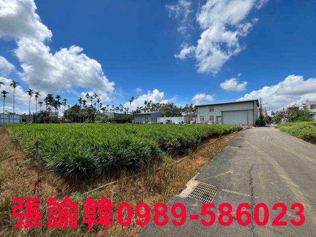 南投市農地-6