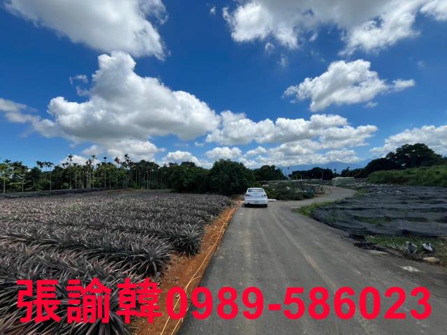 南投市農地-8