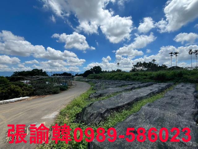 南投市農地-9