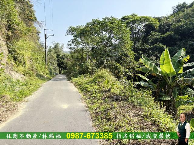 台南左鎮農地-4