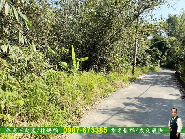 台南左鎮農地-7