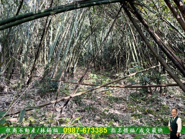 台南左鎮農地-9