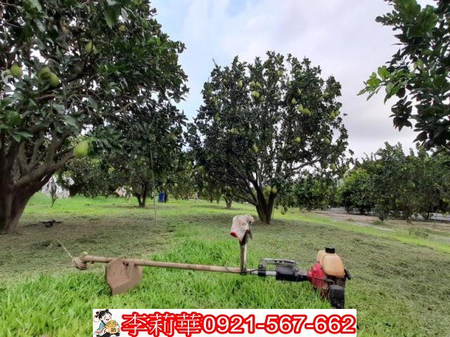 台南麻豆農地-8