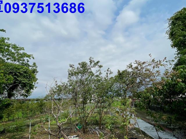 宜蘭壯圍農地-14