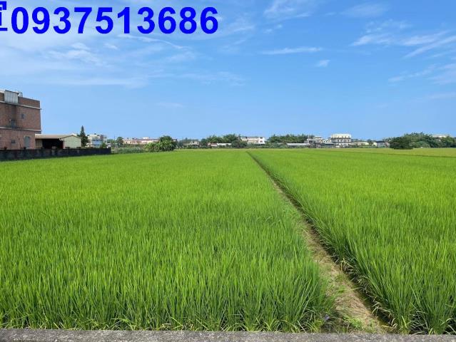 宜蘭壯圍農地-11
