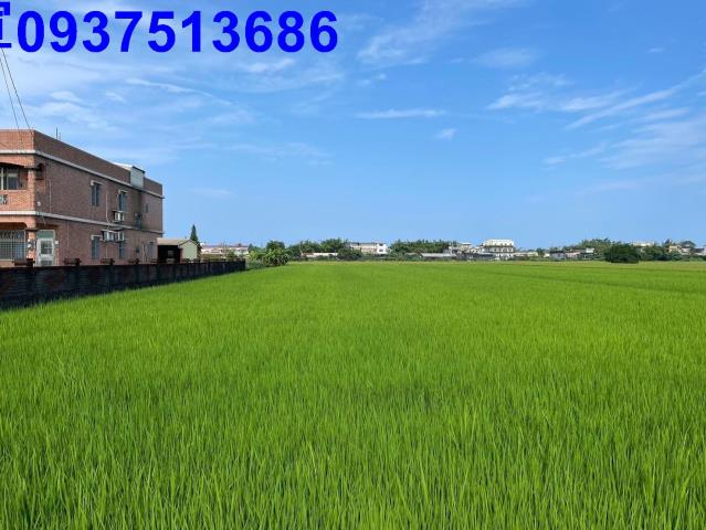 宜蘭壯圍農地-12