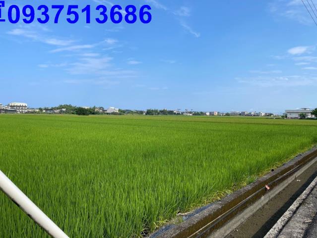 宜蘭壯圍農地-13