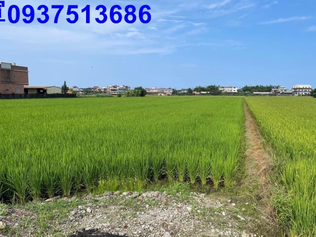 宜蘭壯圍農地-4