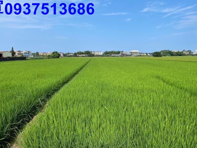 宜蘭壯圍農地-6