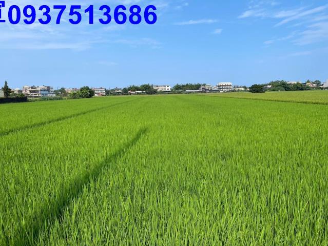 宜蘭壯圍農地-7