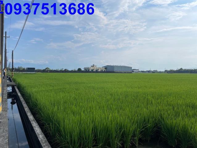 宜蘭壯圍農地-12