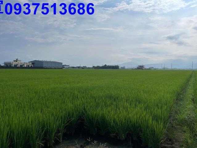 宜蘭壯圍農地-15