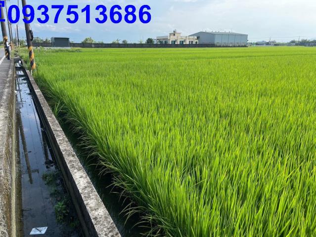 宜蘭壯圍農地-5