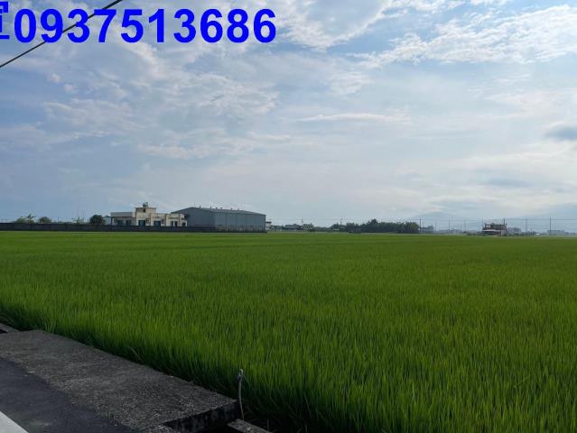 宜蘭壯圍農地-8