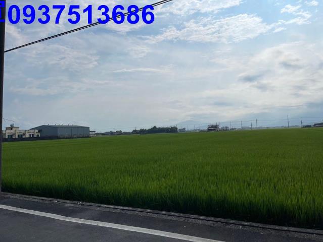 宜蘭壯圍農地-9