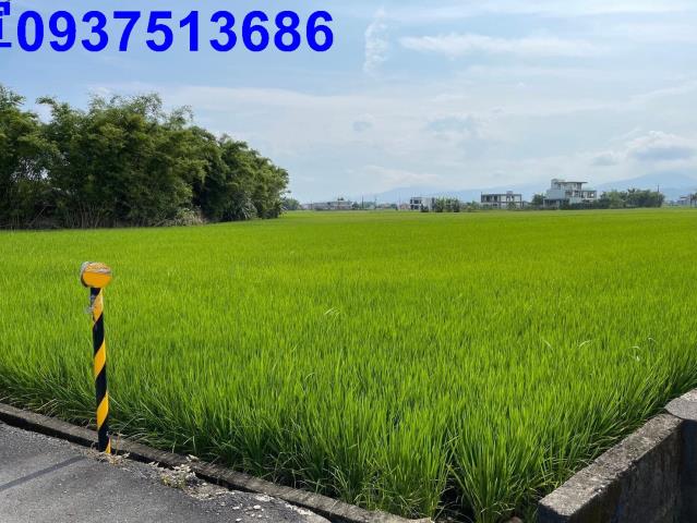 宜蘭礁溪農地-15