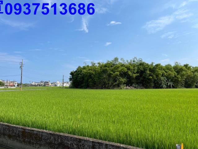 宜蘭礁溪農地-3