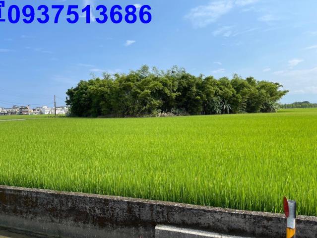 宜蘭礁溪農地-5