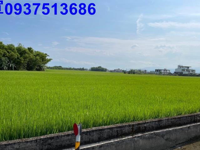 宜蘭礁溪農地-6