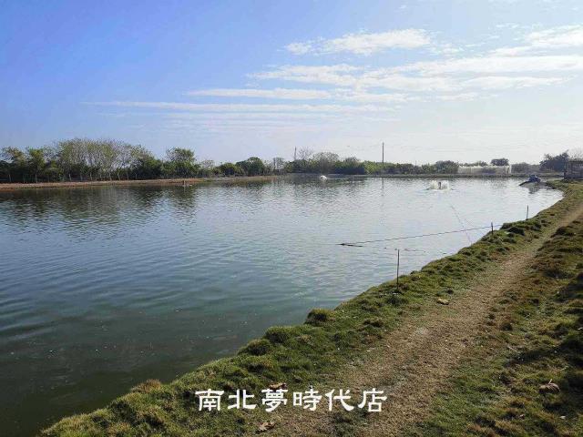 麻豆農地-5