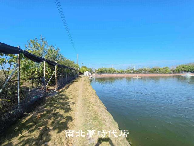 麻豆農地-8